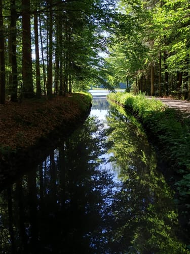 Großer Rundweg Steinklamm bei Spiegelau