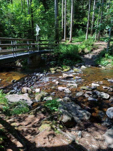 Großer Rundweg Steinklamm bei Spiegelau