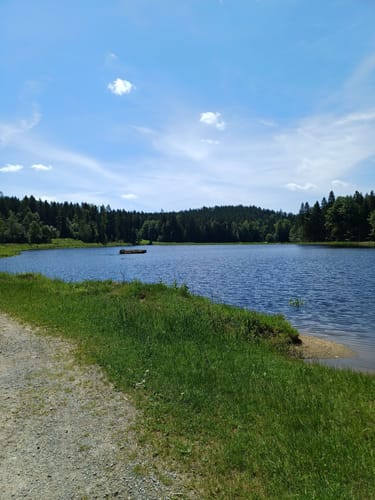 Großer Rundweg Steinklamm bei Spiegelau