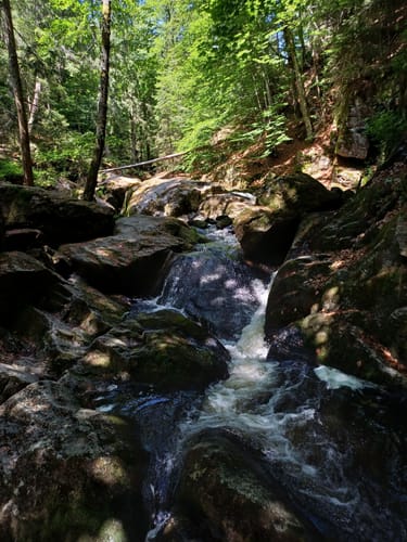 Großer Rundweg Steinklamm bei Spiegelau