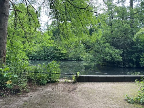 Durch den Kurpark Wiesbaden zum Sonnenberg