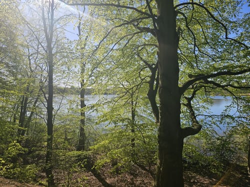 Eutiner See Rundweg