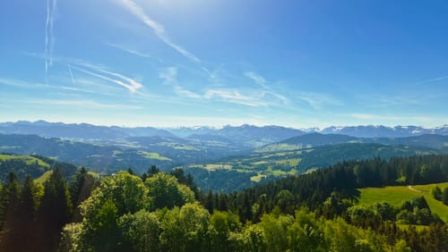 Pfänder Rundwanderung ab Lochau
