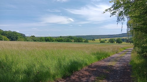 Alsfeld - Eifa - Altenburg