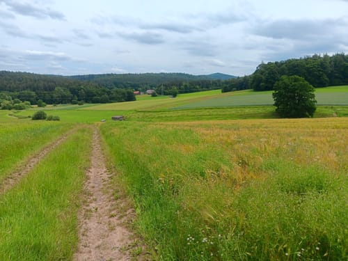 Alsfeld - Eifa - Altenburg