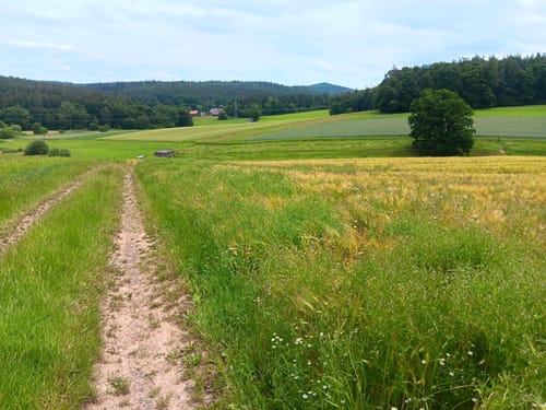Alsfeld - Eifa - Altenburg
