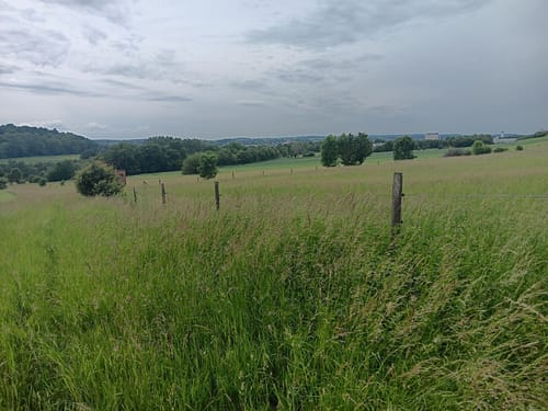 Alsfeld - Eifa - Altenburg