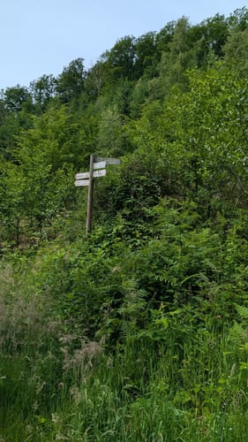 Natursteig Sieg Etappe 4: Merten bis Eitorf