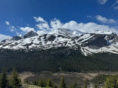 Nigel Peak - hikes and trails to get you there | AllTrails
