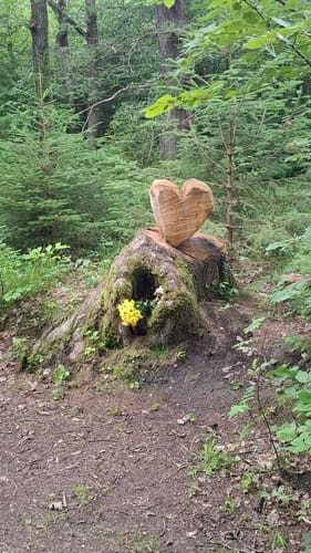 Eschweiler Satdtwald Runde