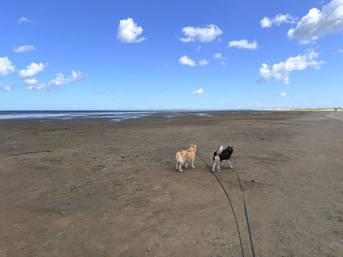 Hooksieler Strand- und Hafenrunde