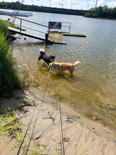 Hooksieler Strand- und Hafenrunde
