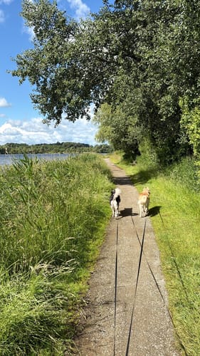 Hooksieler Strand- und Hafenrunde