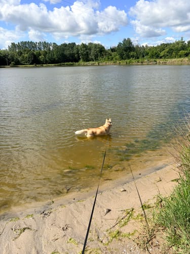 Hooksieler Strand- und Hafenrunde