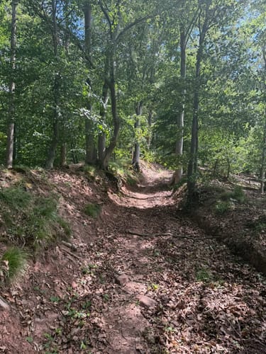 Hörne, Hohenstein und Heiligenberg
