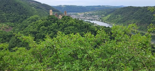 Moselsteig Etappe 22: Löf - Kobern-Gondorf