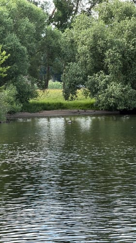 Dschungelpfad und Weinbergsaussicht