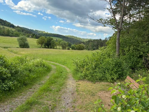 Kupferbachtal und Wellingeröder Höhe