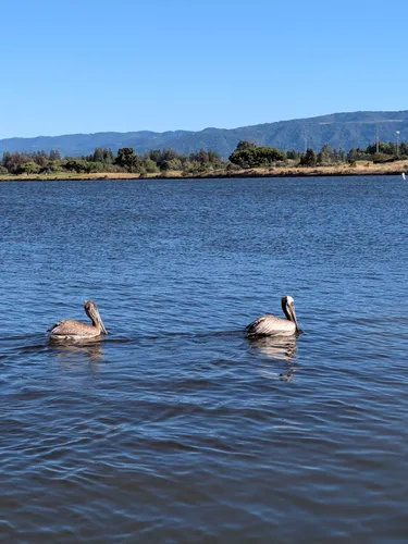 Best views trails in Mountain View | AllTrails