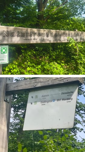 Forst Bredelar ab Marsberg
