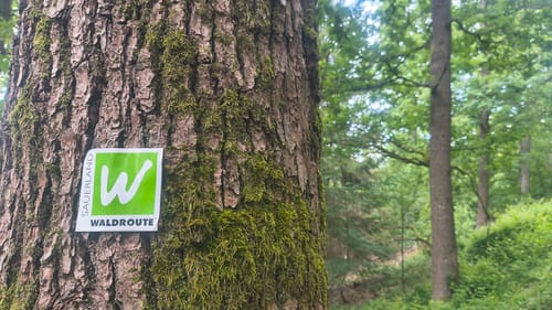 Forst Bredelar ab Marsberg