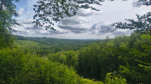 Forst Bredelar ab Marsberg