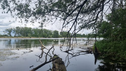 Mösslitz Runde