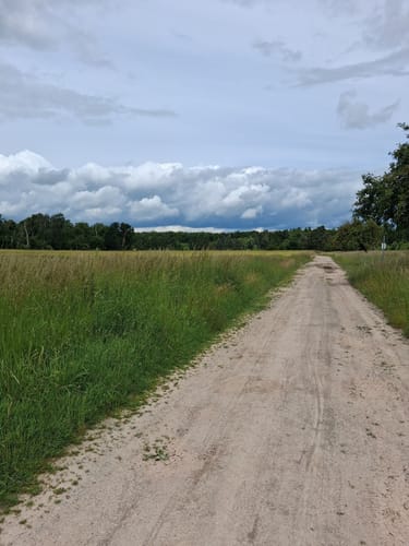 Hohes Holz über Edelberg