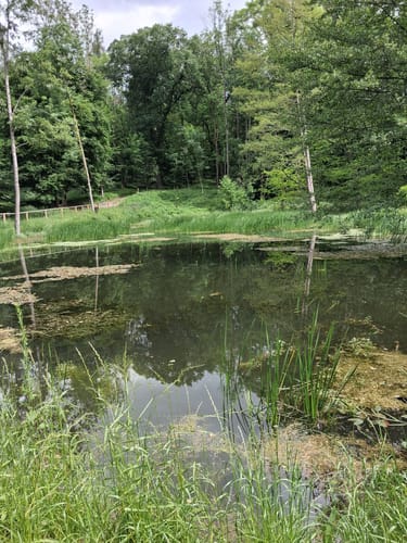 Hohes Holz über Edelberg