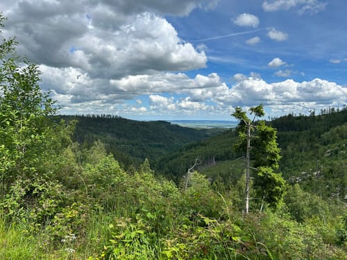 Ottofelsen