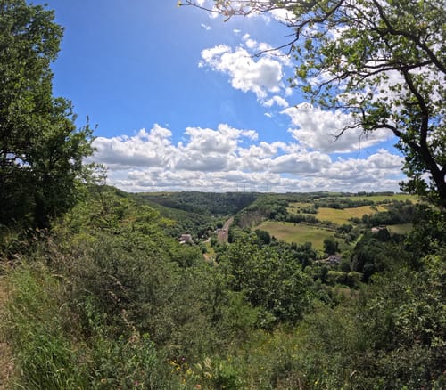 Nahesteig (Premiumwanderweg)