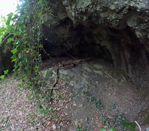 Nahesteig (Premiumwanderweg)