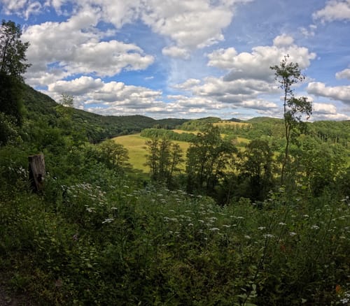 Nahesteig (Premiumwanderweg)