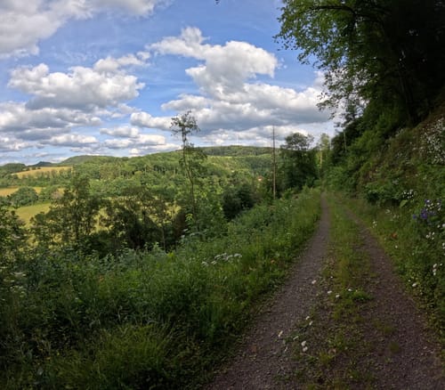Nahesteig (Premiumwanderweg)