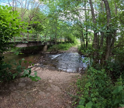 Nahesteig (Premiumwanderweg)