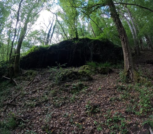 Nahesteig (Premiumwanderweg)