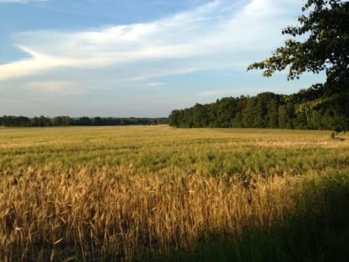 Quitzdorfer Stausee Rundweg
