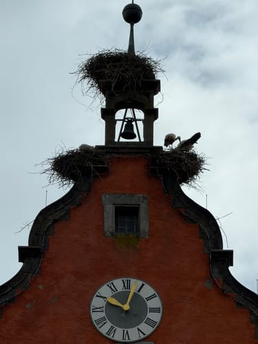 Um die Dinkelsbühler Stadtmauer