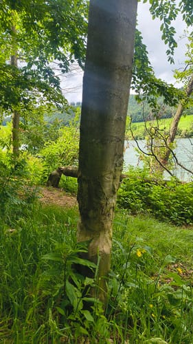 Heringhausen H6: Rund um den Diemelsee