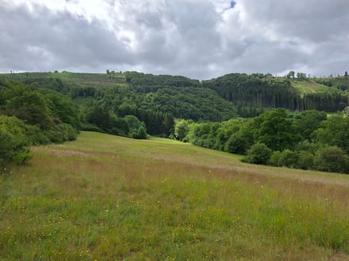 Irrhausen (Naturpark Südeifel Wanderweg Nr. 34)