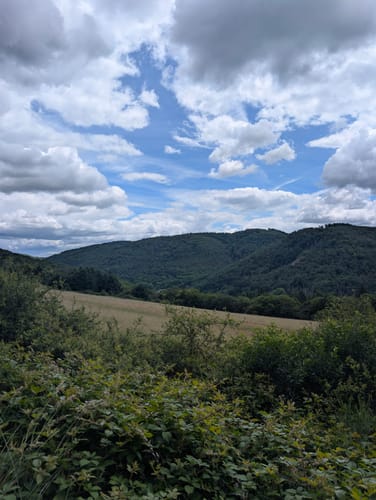 Nitztal und Riedener Waldsee ab Wanderparkplatz Büden