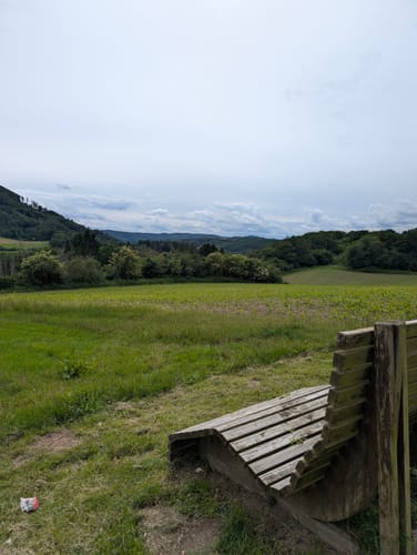 Nitztal und Riedener Waldsee ab Wanderparkplatz Büden