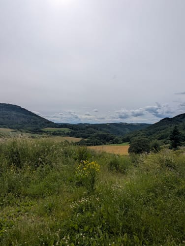 Nitztal und Riedener Waldsee ab Wanderparkplatz Büden