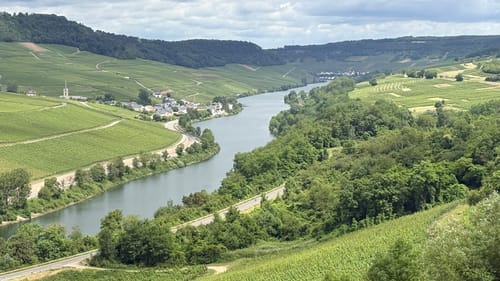 Moselsteig Etappe 2: Palzem - Nittel