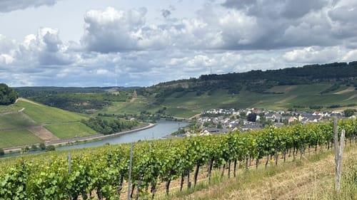Moselsteig Etappe 2: Palzem - Nittel