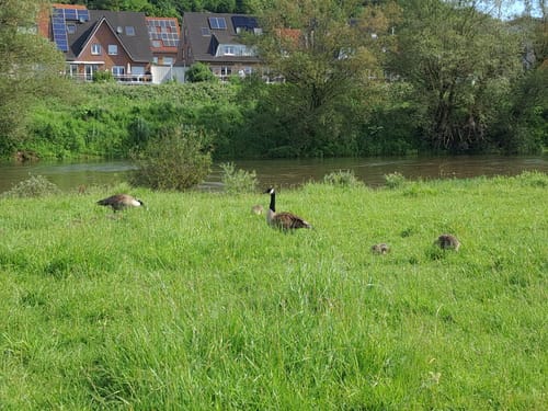 Ruhrschleife bei Hattingen