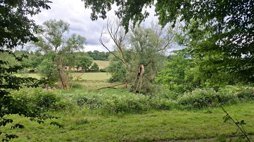 Teuterhof Rundweg