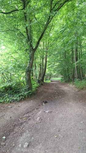 Teuterhof Rundweg