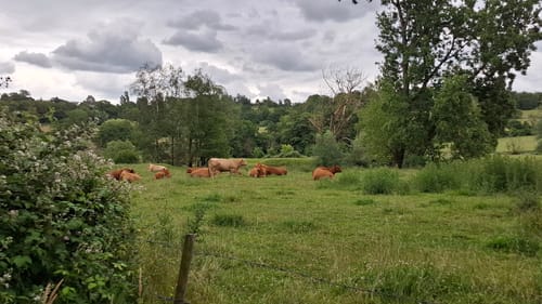 Teuterhof Rundweg
