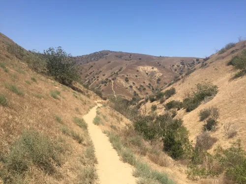 are dogs allowed in chino hills state park